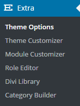 Extra - Theme options